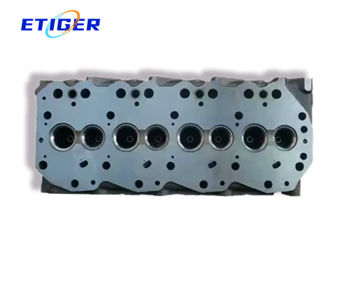 TD25 Cylinder Head 11039-02N05/11039-44G01 for Nissan